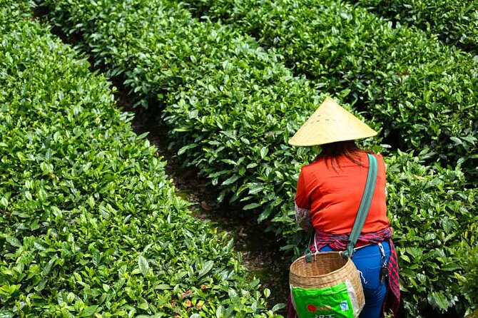 4-Day 3-Night Culinary Journey of Chengdu - Accommodations and Inclusions