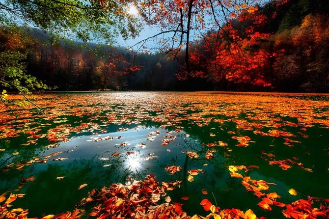 4-Day Abant, Seven Lakes, Safranbolu & Amasra Tour From Istanbul - Pickup Information