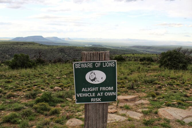 4 Day Addo to Karoo Safari - Wildlife Sightings