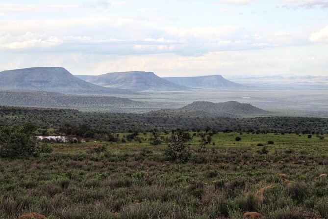 4 Day Addo to Karoo Safari - Booking and Cancellation