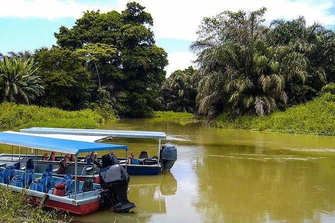 4-Day Adventure in Tortuguero National Park - Key Points