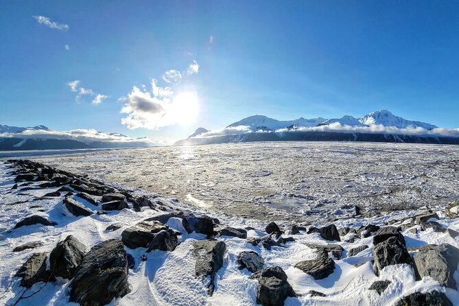 4 Day Alaska Seward Camping Adventure From Anchorage - Health and Safety