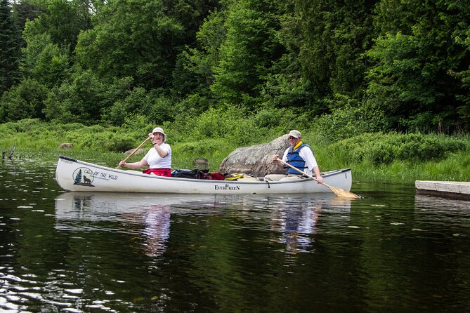 4-Day Algonquin Park Canoe Trip - Safety Considerations