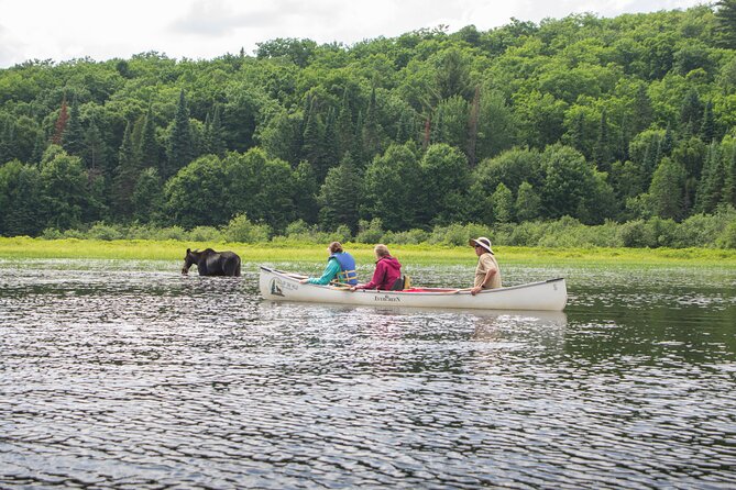 4-Day Algonquin Park Canoe Trip - Meal Preparation