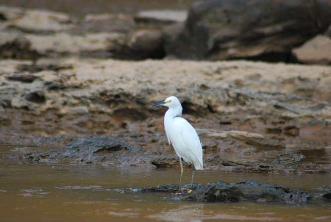 4-Day Amazon Jungle Tour at Eco Amazonia Lodge - Wildlife Spotting Opportunities