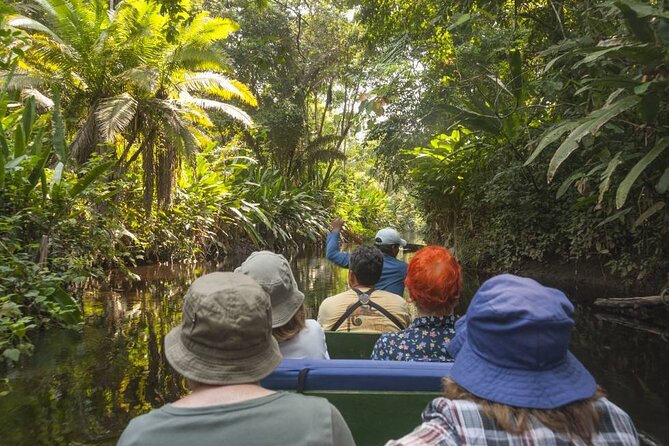 4-Day Amazon Jungle Tour From Iquitos - Key Points