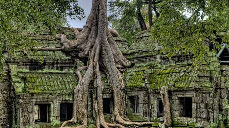 4-Day Angkor Wat, Kulen Mount, Koh Ker Group & Beng Mealea - Day 1: Angkor Wat and Surroundings