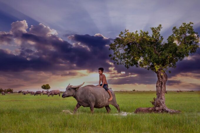 4-Day Angkor Wat, Kulen Mount, Koh Ker Group & Beng Mealea - Transportation and Logistics