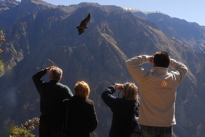 4 Day Arequipa and Colca Canyon Tour - Cultural Immersion in Chivay Village