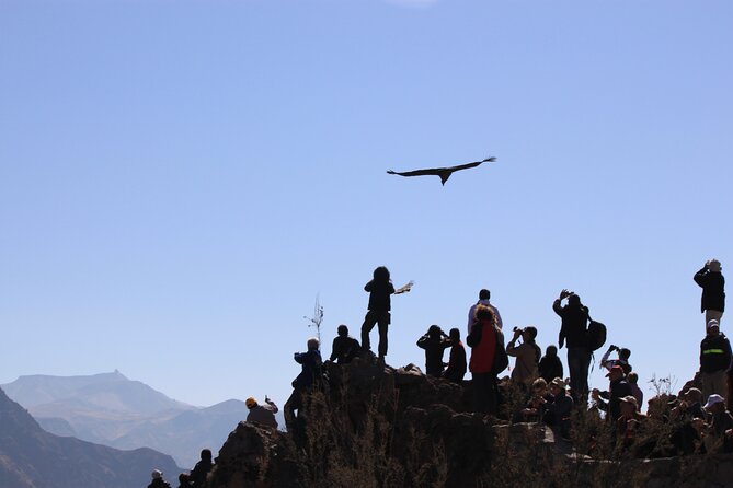 4 Day Arequipa and Colca Canyon Tour - Recap