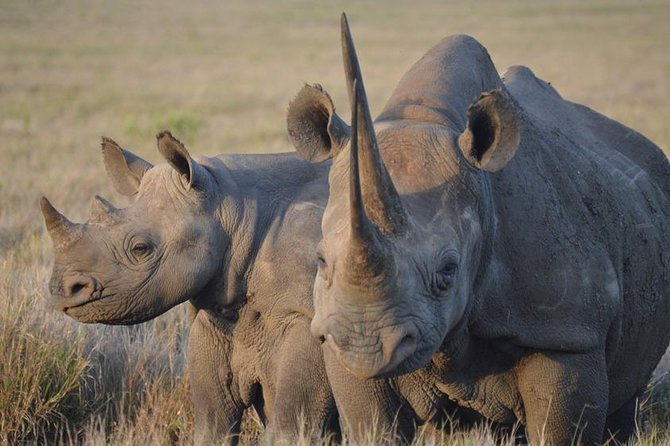 4 Day: Astonishing Group Safari - Booking and Cancellation