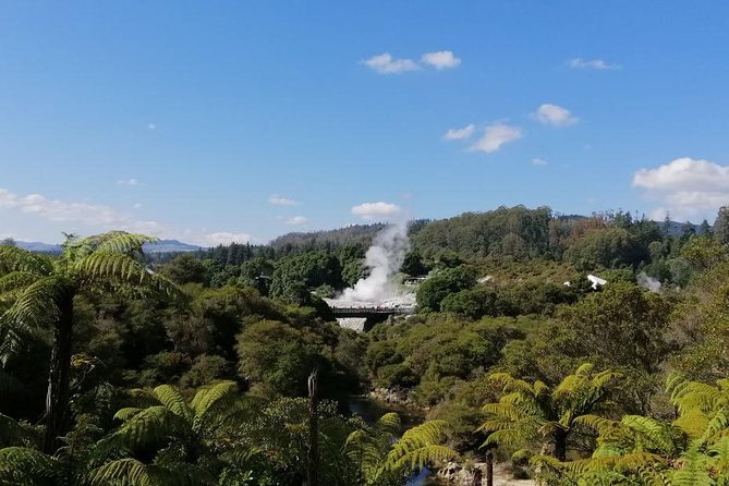 4-Day Auckland to Wellington via Rotorua Tour - Pickup and Meeting Points