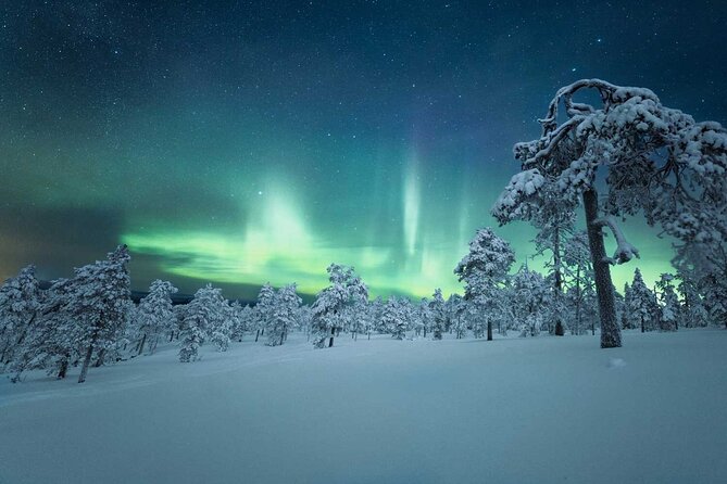 4-Day Aurora Viewing Tour From Whitehorse, Canada - Included and Excluded