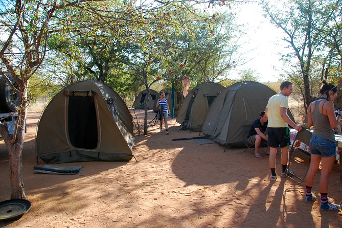 4-Day Basic Safari With Serengeti, Ngorongoro, & Tarangire - Exclusions