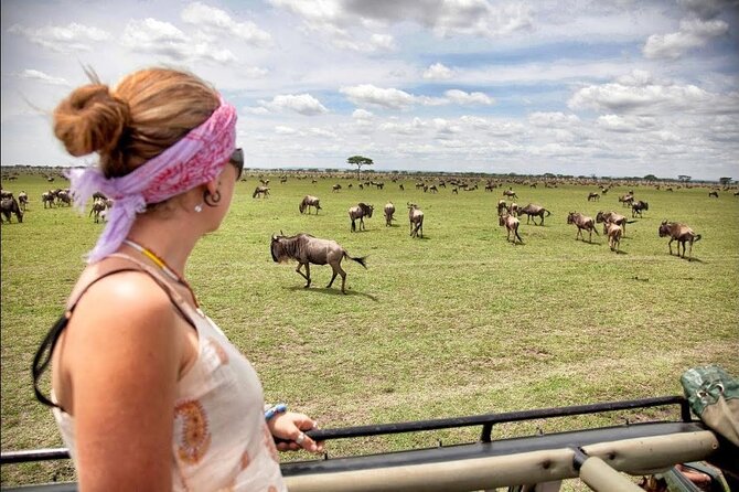 4-Day Basic Safari With Serengeti, Ngorongoro, & Tarangire - Cancellation Policy and Price