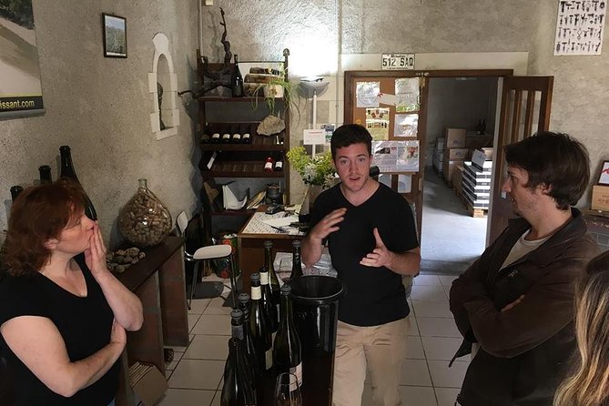 4 Day BORDEAUX WINE and HISTORY Tour - Curated Itinerary and Personalized Service