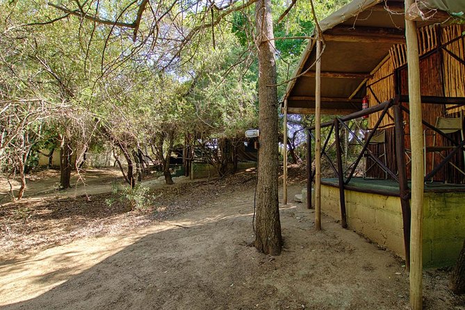 4 Day Budget Kruger National Park Safari - Safari Highlights and Positive Feedback