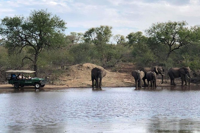 4 Day Budget Kruger National Park Safari - Wildlife Encounters and Bush Walks