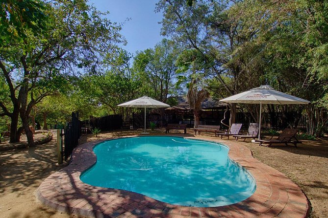 4 Day Budget Kruger National Park Safari - Knowledgeable Guides and Great Food