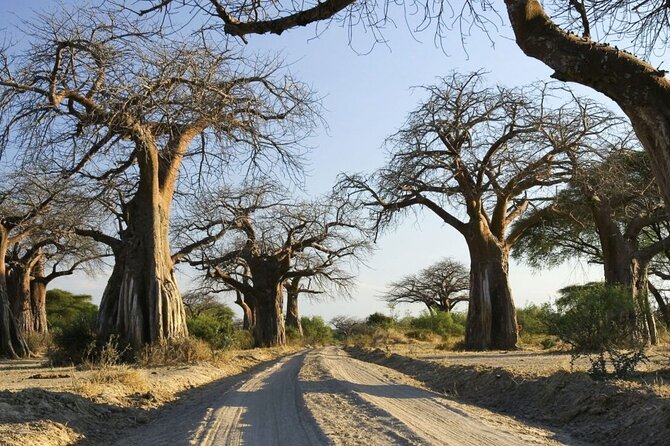 4-Day Budget Tarangire, Serengeti, Ngorongoro Safari Guided Tour - Accommodation