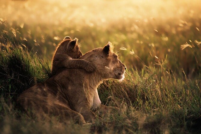 4-Day Budget Tarangire, Serengeti, Ngorongoro Safari Guided Tour - Cancellation Policy