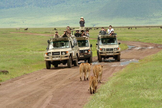 4-Day Camping on the Big Five Private Safari - Safari Experience