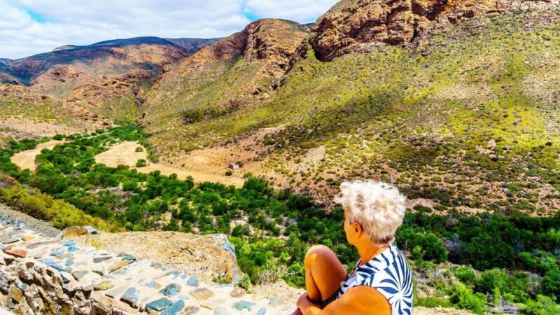 4 Day Cape Town Essential Tour & Big 5 Safari At Inverdoorn - Key Points