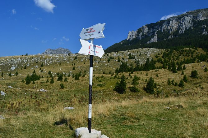 4-Day Carpathian Trek: Bucegi Mountains and Piatra Craiului National Park - Inclusions and Accommodations