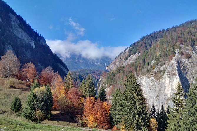 4-Day Carpathian Trek: Bucegi Mountains and Piatra Craiului National Park - Customer Reviews
