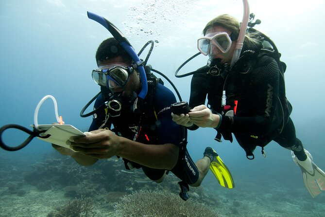 4 Day Certified PADI Open Water Scuba Diver in Dubai - Health Considerations
