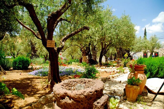 4-Day Christian Tour From Tel Aviv: Jerusalem, Jericho, Bethlehem and Nazareth - Reviews and Feedback