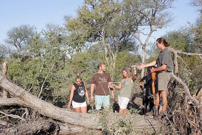 4 Day Classic Kruger National Park Safari - Blyde River Canyon