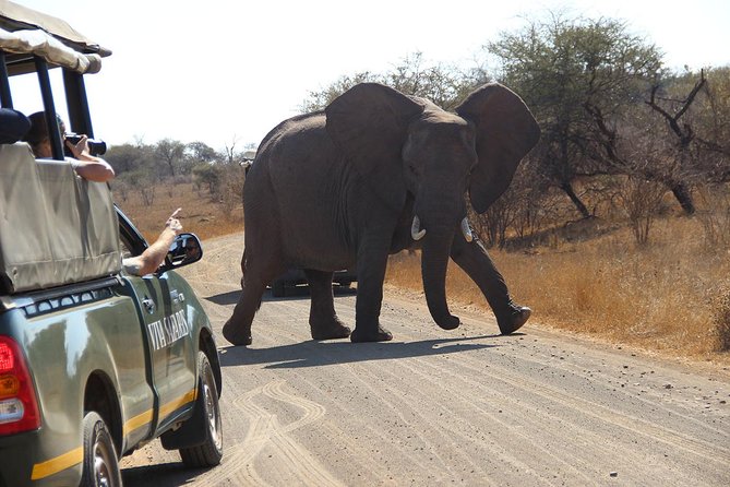 4 Day Classic Kruger National Park Safari - Traditional Bush Braai
