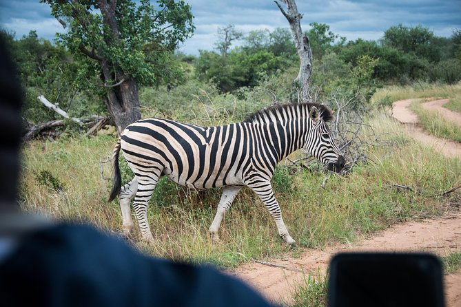 4 Day Classic Kruger National Park Safari - Guest Reviews