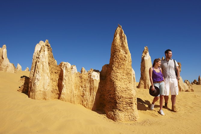 4-Day Coastal Loop via Monkey Mia Dolphins Kalbarri & Pinnacles - Exploring Pinnacles Desert and Nambung National Park