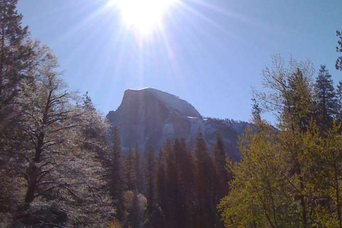 4 Day Death Valley, Yosemite, San Francisco From Las Vegas Camp or Lodge - Tour Highlights