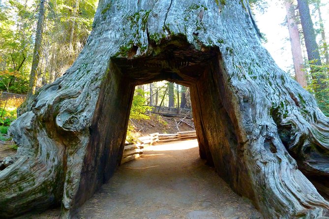 4 Day Death Valley, Yosemite, San Francisco From Las Vegas Camp or Lodge - Inclusions and Exclusions