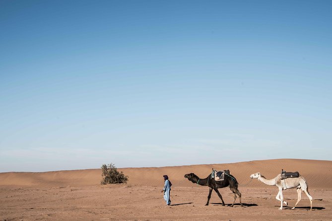 4 Day Desert Tour From Fez to Marrakech Through Merzouga, Valleys & Ouerzazat - Accommodation Details