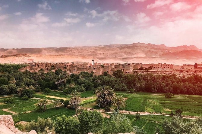4 Day Desert Tour From Fez to Marrakech Through Merzouga, Valleys & Ouerzazat - Customer Reviews and Experiences