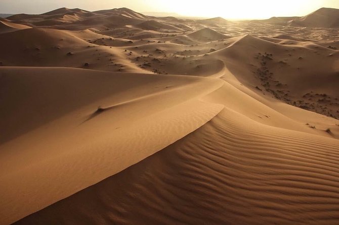4 Day Desert Tour From Marrakech - Suitability and Accessibility