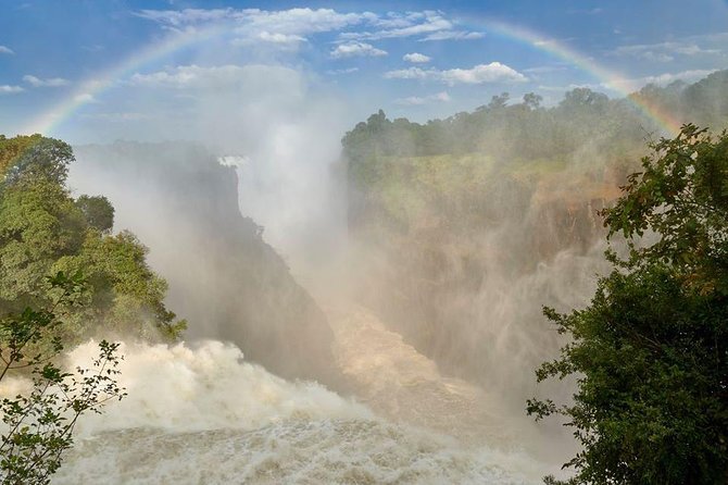 4-Day Discover Victoria Falls, Chobe and Hwange Park - What to Expect