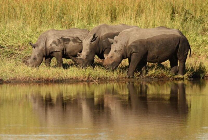 4 Day Drakensberg Tour From Johannesburg - Key Points
