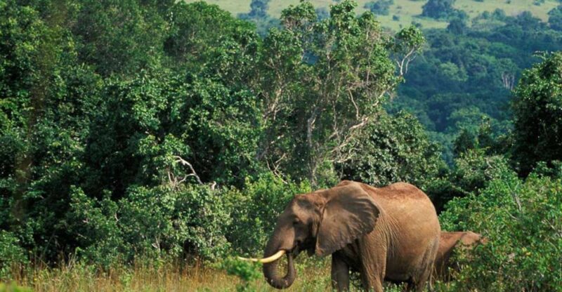 4 Day Drakensberg Tour From Johannesburg - Detailed Itinerary