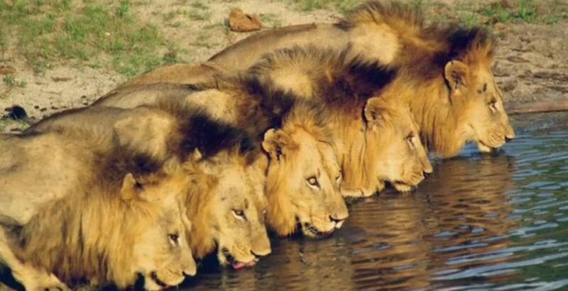 4 Day Drakensberg Tour From Johannesburg - Key Highlights