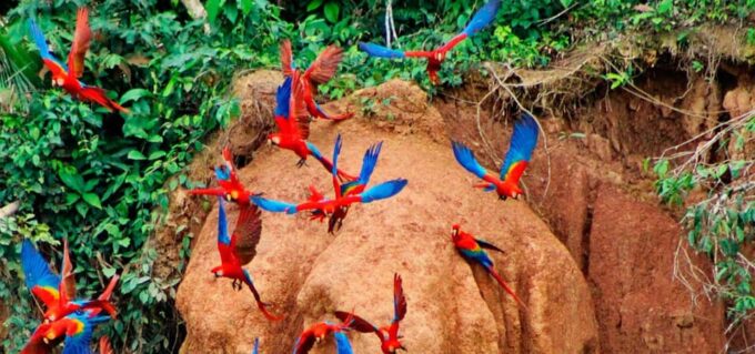 4-Day Excursion to the Manu Cultural Zone - Cancellation and Refund Policy