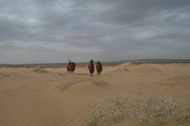 4 Day Express Gobi Tour /Get a Taste of Mongolian Gobi - Key Points