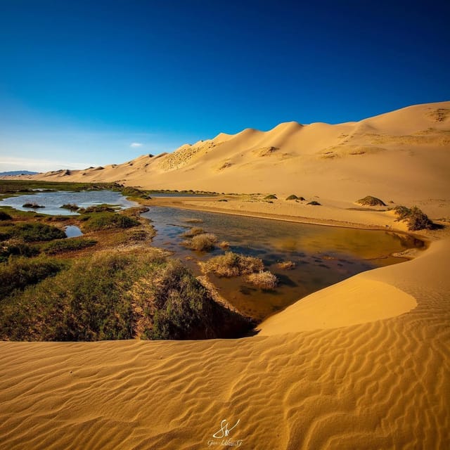 4 Day Express Gobi Tour /Get a Taste of Mongolian Gobi - Availability and Reservation