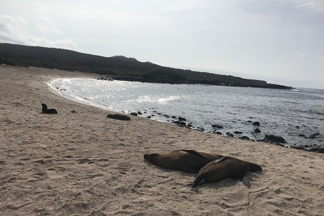 4-Day Galapagos Classic Tour: Santa Cruz, Bartolome or Seymour - Meals and Entrance Fees