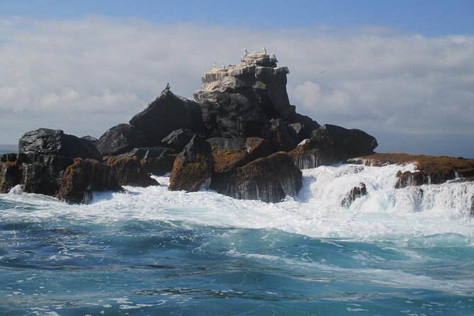 4-Day Galapagos Island Hopping Tour in Santa Cruz - Accommodation and Meals