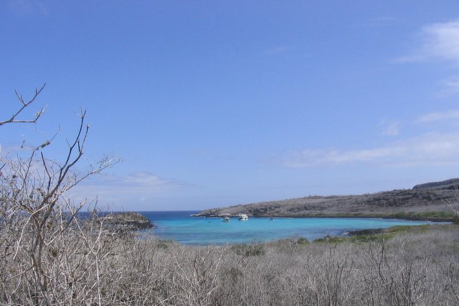 4-Day Galapagos Islands Express Tour - Arrival and Departure Details